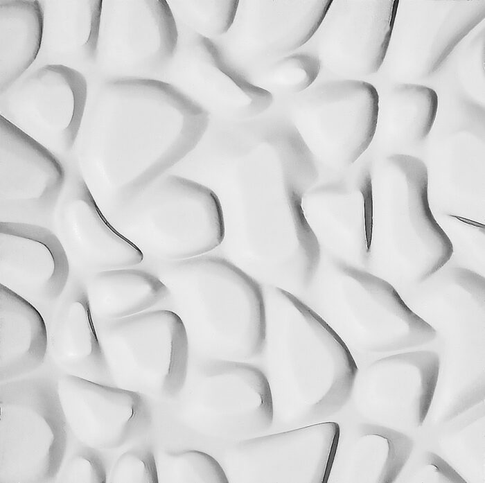 Decoratiuni Interioare/Exterioare – Model Bolovani